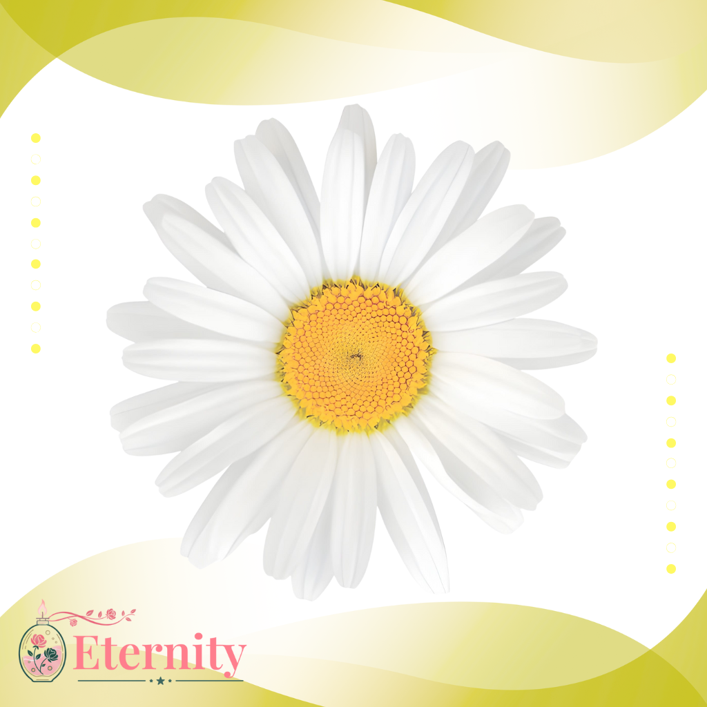 Candele con Margherite