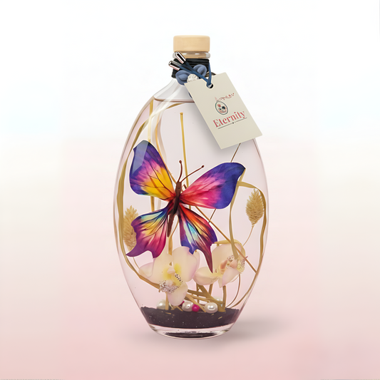 Candele - Lévania (farfalla)